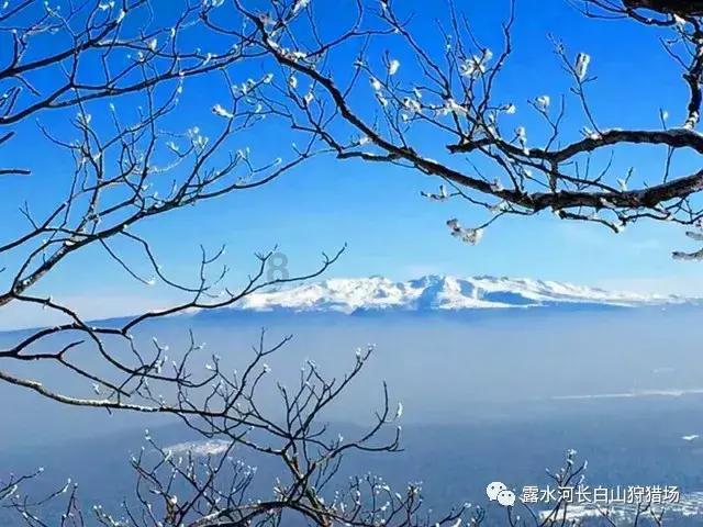 如何评价毕雯珺在《世界微尘里》中的表现？