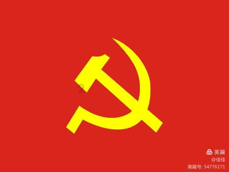 袋鼠兄弟2