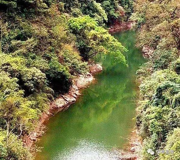 贵州省政协委员呼吁：加速打造全国算力高地